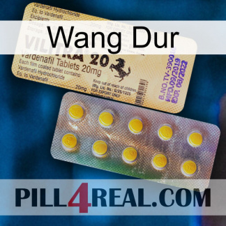 Hard Wang new06